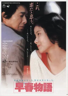 繁花似锦 国产精品剧集
